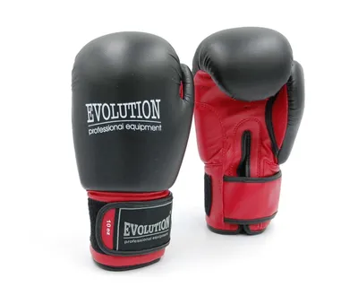 Produktbild von Evolution Standard Boxhandschuhe - 10 Unzen