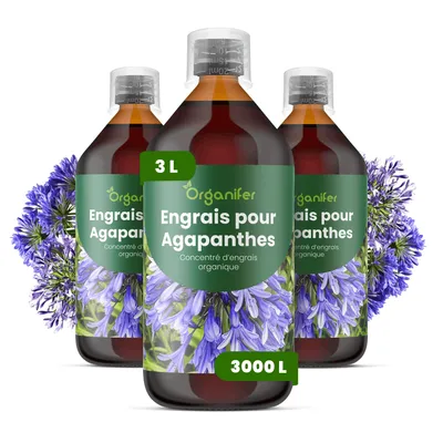 Obrázek produktu pro Agapanthus Tekuté Hnojivo 3x1 L – 2-1-8 NPK – Pro Kvetoucí Rostliny – Pro Bujné Květy & Zdravé Listy – Posilňuje Kořeny & Odolnosť – Organifer