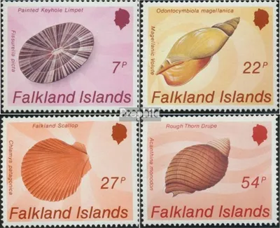 Produktbild von Briefmarken FalklanSteckanschlussln 1986 Mi 440-443 (kompl.Ausg.) postfrisch Muscheln und Meeresschnecken