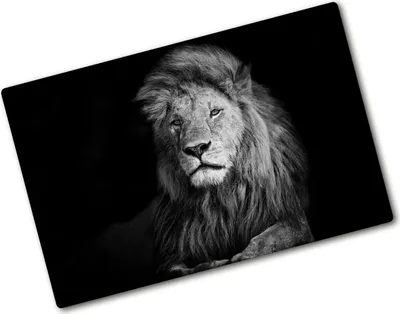 Produktbild von Tulup Glas Herdabdeckplatte - 80x52 cm - Glaskeramikkochfeld-Abdeckung Spritzschutz Glasabdeckplatte - Einteilig - Tiere - Löwe - Schwarzweiß