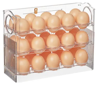 Eierhalter für Kühlschrank, 30 Eier, BPA-frei, transparent, 25x10x19,5 cm