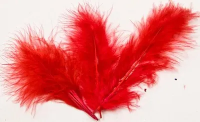 Image de 20 plumes décoratives rouges 5,5 cm - taille unique