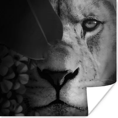Produktbild von MuchoWow® Poster Pflanzen - Dschungel - Löwe - Schwarz - Weiß 50x50 cm - Wohnzimmerdekoration