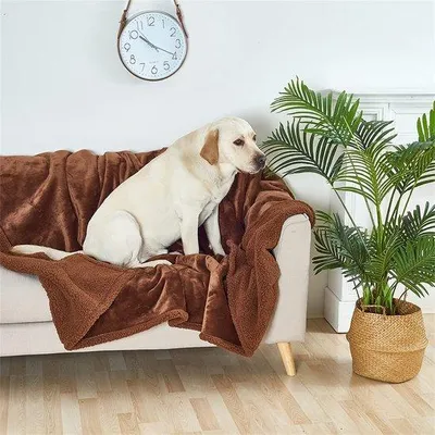 Produktbild von Famanu Hundeunterlage für Sofa - Warm und wasserfest