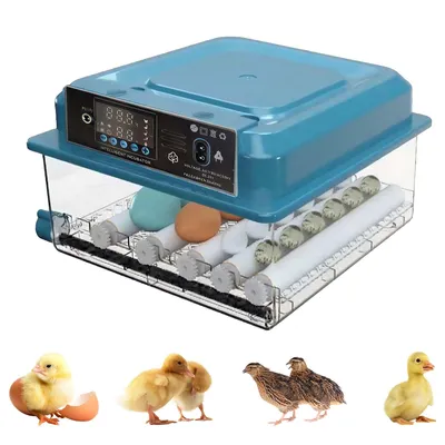Produktbild von Brutautomat Vollautomatisch, 16 Eier Inkubator mit Automatischem Eierwenden Temperaturregelung für Hühner, Enten und Tauben,Blau