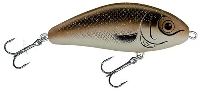 Image de Salmo Fatso Wobbler 10cm 52g sinking Arkansas