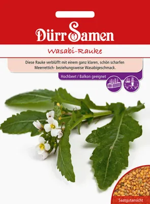 Produktbild von Dürr-Samen - Wasabi-Rauke - Saatgut - 4360