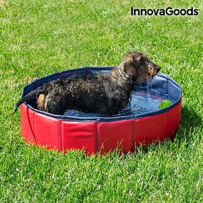 Produktbild von InnovaGoods Pool für Haustiere