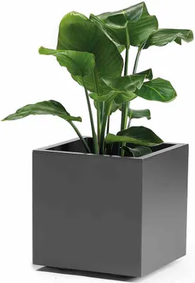Produktbild von euro3plast 315-762 Pflanzkübel Greener Kebe 40cm, anthrazit