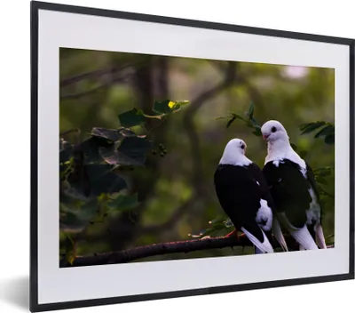 Produktbild von MuchoWow® MuchoWow® Gerahmtes Poster Vögel - Zweig - Blätter 40x30 cm - Poster mit zchwarzem Bilderrahmen - Bilderrahmen - Poster im Rahmen
