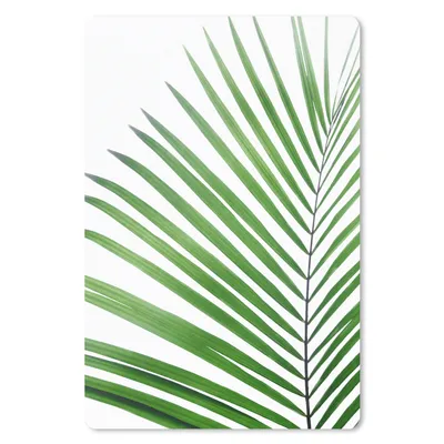 Produktbild von MuchoWow® Mauspad Mousepad Pflanze - Grün - Natur - Weiß 18x27 cm - Mousepads - Maus Mat - Pad - Mausunterlage