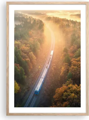 Produktbild von Gerahmtes Poster - Rahmen in heller Eiche - Bahn Herbst So - 50x70 cm - Wand Bild - Wanddeko - Wandbilder - Kunstposter - Wandposter - Bilderrahmen - Bilder - Kunstdruck - P2NPA50x70-4632