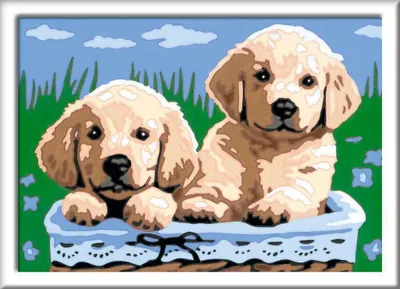 Produktbild von Süße Hundewelpen Ravensburger 27839