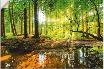 Produktbild von ARTland Wandbild, selbstklebend Wald mit Bach Größe: 120x80 cm