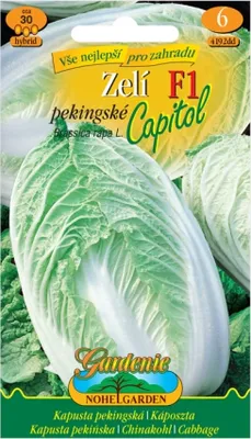 Obrázok produktu pre Kapusta CAPITOL F1 - hybrid