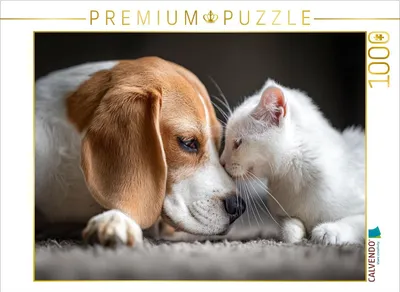 Produktbild von CALVENDO Puzzle Leidenschaft | 1000 Teile Lege-Größe 64x48cm Foto-Puzzle für glückliche Stunden