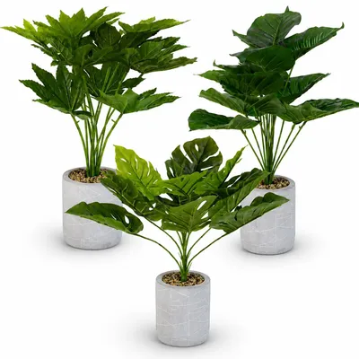 Produktbild von INtrenDU Kunstpflanzen 3er Set im Topf, je 52 cm, künstliche Dekopflanzen