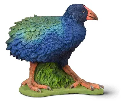 Obrázek produktu pro Collecta 80041 Takahe 4,5 cm Wildlife
