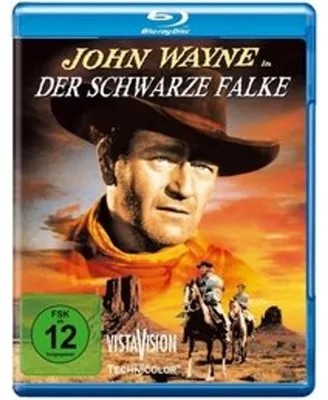 Produktbild von Der schwarze Falke S.E.