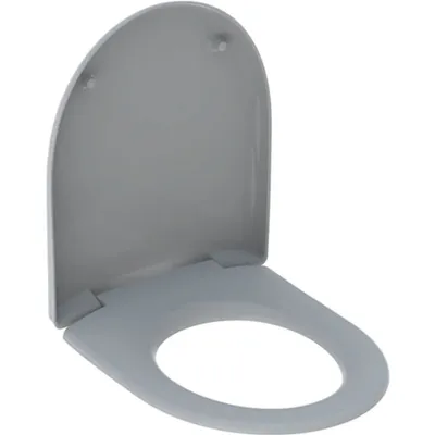 Produktbild von Geberit Geberit WC-Sitz RENOVA m Deckel m Absenkautomatik manhattan