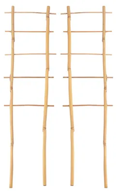 Produktbild von 2x Bambusspalier 60cm Rankhilfe Blumenstütze Rankgitter Kletterhilfe Spalier