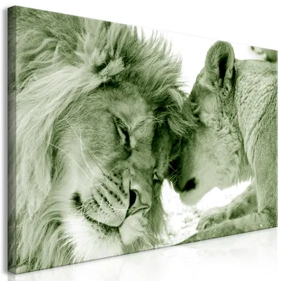 Produktbild von Wandbild Mega XXXL Löwe 250x125 cm Einteiliger XXL-Format Kunstdruck zur Selbstmontage Leinwandbilder moderne Bilder DIY Wanddekoration Wohnung Deko Liebe Afrika Tier g-B-0121-ak-e