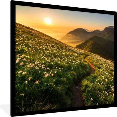 Produktbild von MuchoWow® Gerahmtes Poster Blumen - Sonne - Berge 40x40 cm - Poster mit Schwarzem Bilderrahmen Wandposter Rahmen Foto Bilder - Mit Rahmen - Wanddekoration Schlafzimmer
