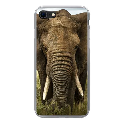 Produktbild von MuchoWow® Handyhülle Schutzhülle Hülle für iPhone SE 2020 Elefant - Natur - Gras - Tiere - Landschaft Silikon Softcase Handy Hülle - Kartenbesitzer