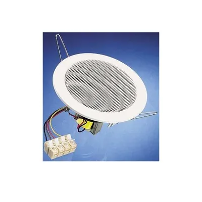 Produktbild von Visaton DL 10, Universal, Deckenmontage möglich, 10,16 cm (4"), 6W, 75 - 20000 Hz, 94 dB