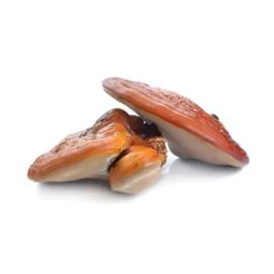Produktbild von MycoMedica Reishi, 30% Polysaccharide, 90 Kapseln