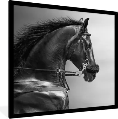 Produktbild von MuchoWow® MuchoWow® Gerahmtes Poster Pferde - Schwarz - Porträt - Tiere 40x40 cm - Poster mit zchwarzem Bilderrahmen - Mit Rahmen - Wanddekoration Schlafzimmer