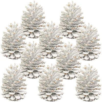 Zdjęcie produktu dla Szyszki sosnowe do dekoracji, białe, z efektem mrozu, zestaw 10 sztuk, 10-14 cm