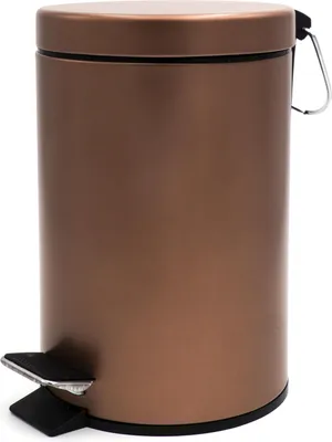 Produktbild von Ridder Kosmetikeimer, Abfalleimer Ed 5 Liter  braun 2170838