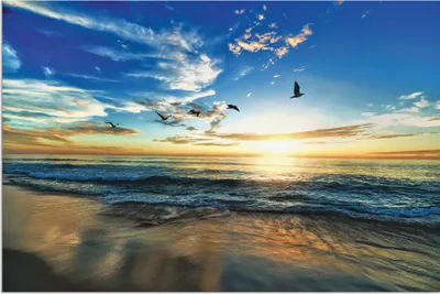Produktbild von ARTland Wandbild Alu für Innen & Outdoor Strand Möwen Meer Sonnenuntergang Größe: 30x20 cm