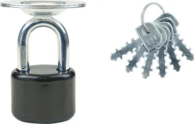 A lock and a set of keys are shown against a white background.