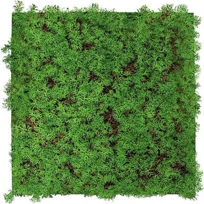 Produktbild von JANGAL Modular Wall Akustik 3D Paneele 520 x 520 mm Thuja Tea Tree Kunst Pflanzenwand Naturfaser