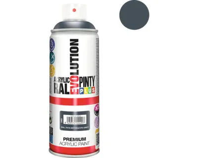 Productafbeelding van Spuitverf Pintyplus Evolution, RAL 7016, 300 ml, antraciet