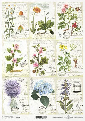 Produktbild von ITD Reispapier Decoupage Bastelpapier, Kräuter, Blumen, Schreibeno R2082
