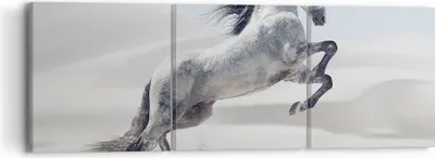 Produktbild von Bild auf Leinwand - Leinwandbild - Pferd Tier Natur - 90x30cm - Wand Bild - Wanddeko - Wandbilder - Leinwanddruck - Bilder - Kunstdruck - Wanddekoration - Leinwand bilder - Wandkunst - CA90x30-3644