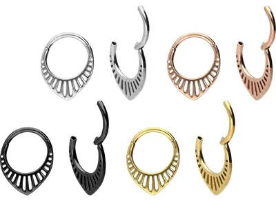 Produktbild von Ohrpiercing, Nasenpiercing, Septum Piercing Chirurgenstahl Segmentring Clicker DESIGN