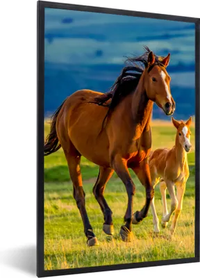 Produktbild von MuchoWow® Gerahmtes Poster Pferde - Gras - Tiere - Landschaft - Natur 60x90 cm - Poster mit Schwarzem Bilderrahmen Wandposter Rahmen Foto Bilder - Kunst