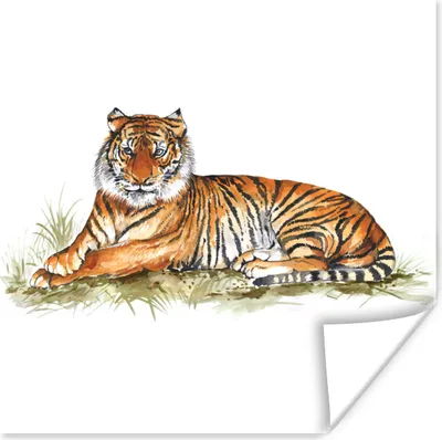 Produktbild von MuchoWow® Poster Tiger - Orange - Gras 30x30 cm - Wandposter - Printing
