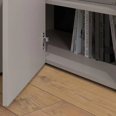 A close-up view of an open cabinet door revealing books on a shelf.