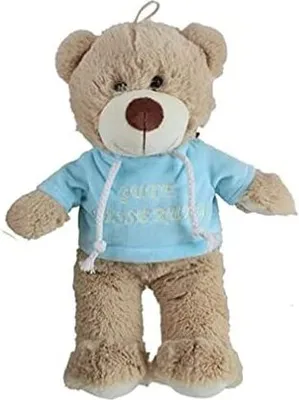 Produktbild von Plüsch Bär mit Kapuzenpulli Gute Besserung ca. 32 cm mit Pulli blau , Plüschtiere, Kuscheltier, Kuschelbegleiter Teddybär
