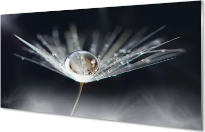 Produktbild von Glasbilder 100x50 Wandkunst Tropfen Löwenzahn-Makro