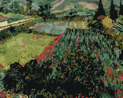 Produktbild von Zuty - Malen nach Zahlen - FELD MIT MOHNBLUMEN (VINCENT VAN GOGH), 40x50 cm, mit Keilrahmen (bereits gespannt)