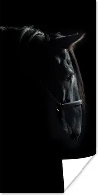 Produktbild von MuchoWow® Poster Pferd - Leicht - Schwarz 80x160 cm - Kinderzimmer