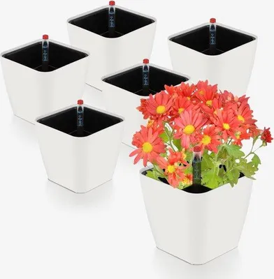 Produktbild von Selbstwassernde Kräuterpflanztopf mit Wasserstandsanzeige - Kräuterpflanztopf selbstwassernd - Pflanztopf mit Untertopfsystem - Selbstwassernde Kräuterpflanztopf für den Freizeitgarten - weiß - 6 Stück - 137 x 135 cm