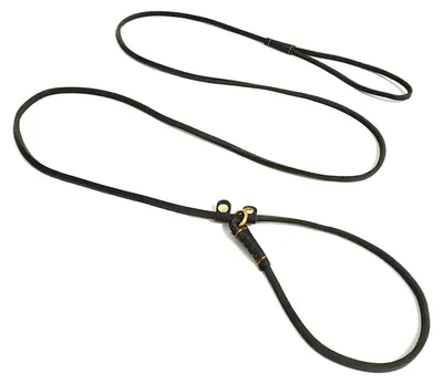 Imagen del producto de Correa para perros, de cuero genuino, ajustable, color , para perros pequeños