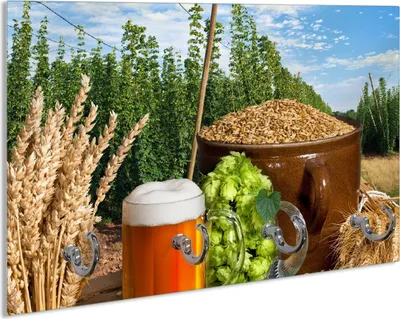 Produktbild von Wallario Handtuchhalter aus Glas, Motiv: Frisch gezapftes Bier, Hopfen und Malz, 30 x 20 cm mit 4 Haken